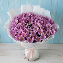 Букет цветов из:  Хризантемы #REPLACE_PRED# Дубовицах