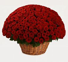 Премиум букет из: Розы #REPLACE_PRED# Дубовицах